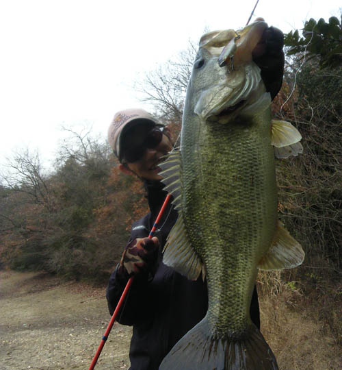 冬の野池攻略にtnシリーズ Fresh Water バス釣り Jackall ジャッカル ルアー