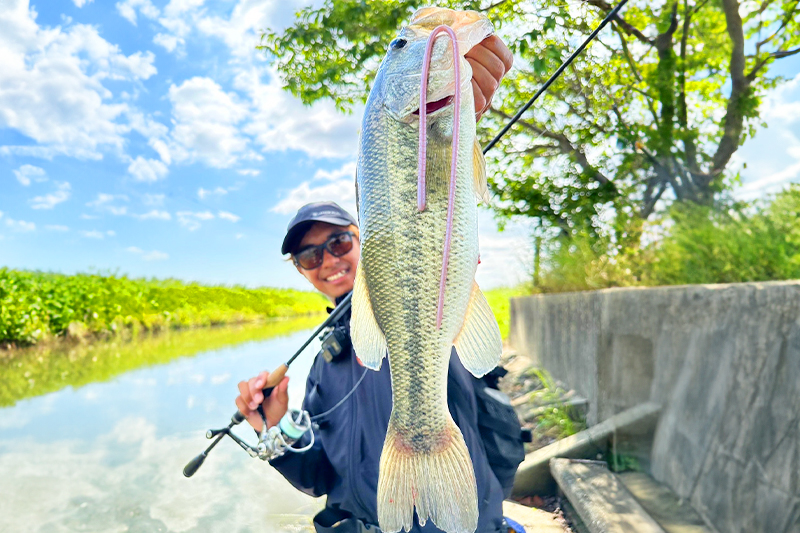 NEW Revoltage S65L オカッパリとボートフィッシングでの万能スピニングロッド/加木屋守 - FRESH WATER バス釣り ｜ JACKALL｜ジャッカル｜ルアー