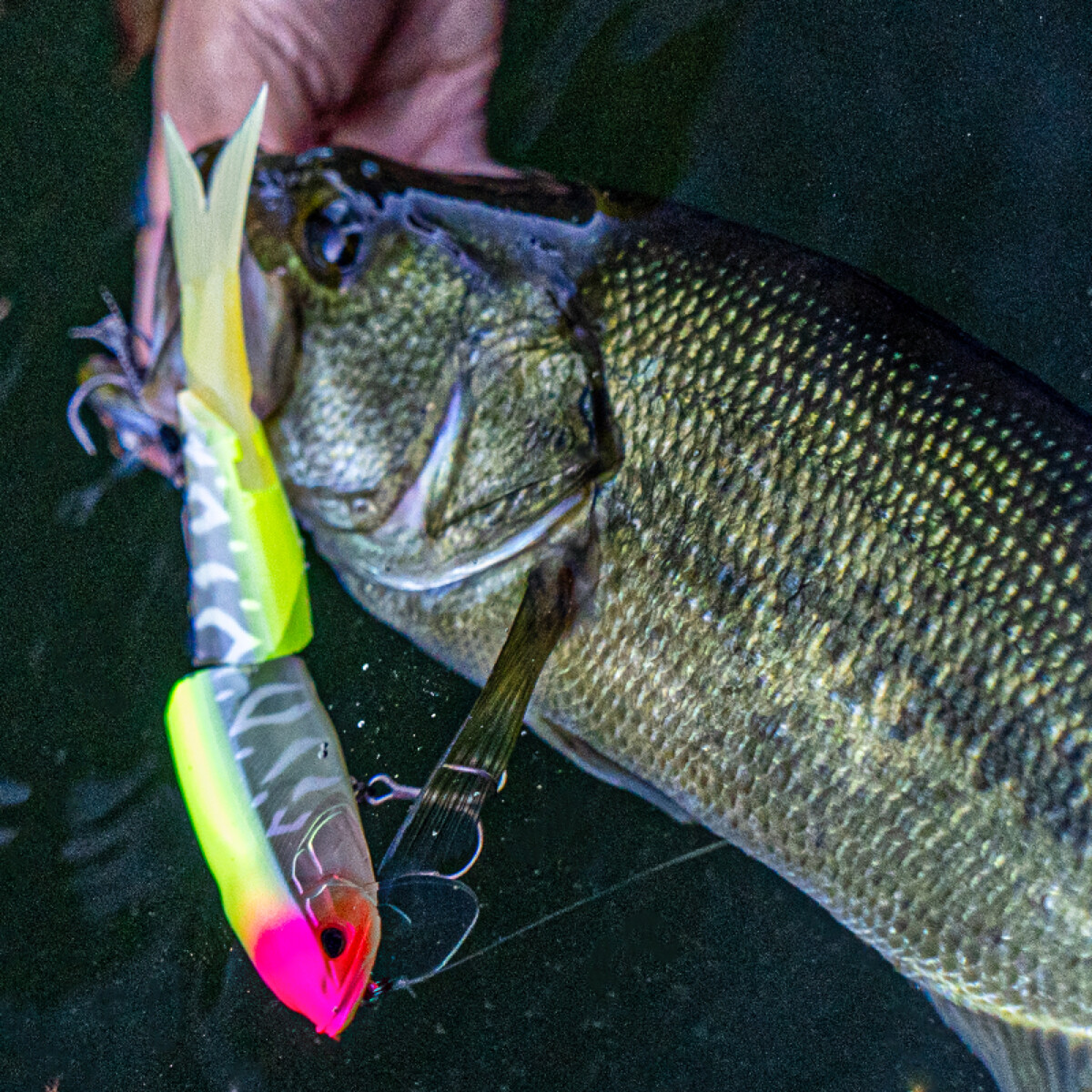 ジャッカル BASS バス釣り