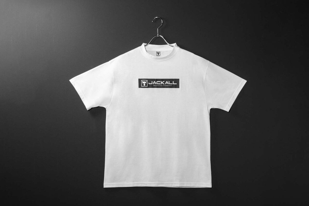 《ステューシー》正規・新品タグ　SSロゴ　ホワイト　L　Tシャツ